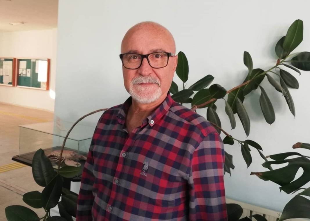 'Katil martı' paniği: Güvercinleri kurabiye gibi yiyorlar! 3